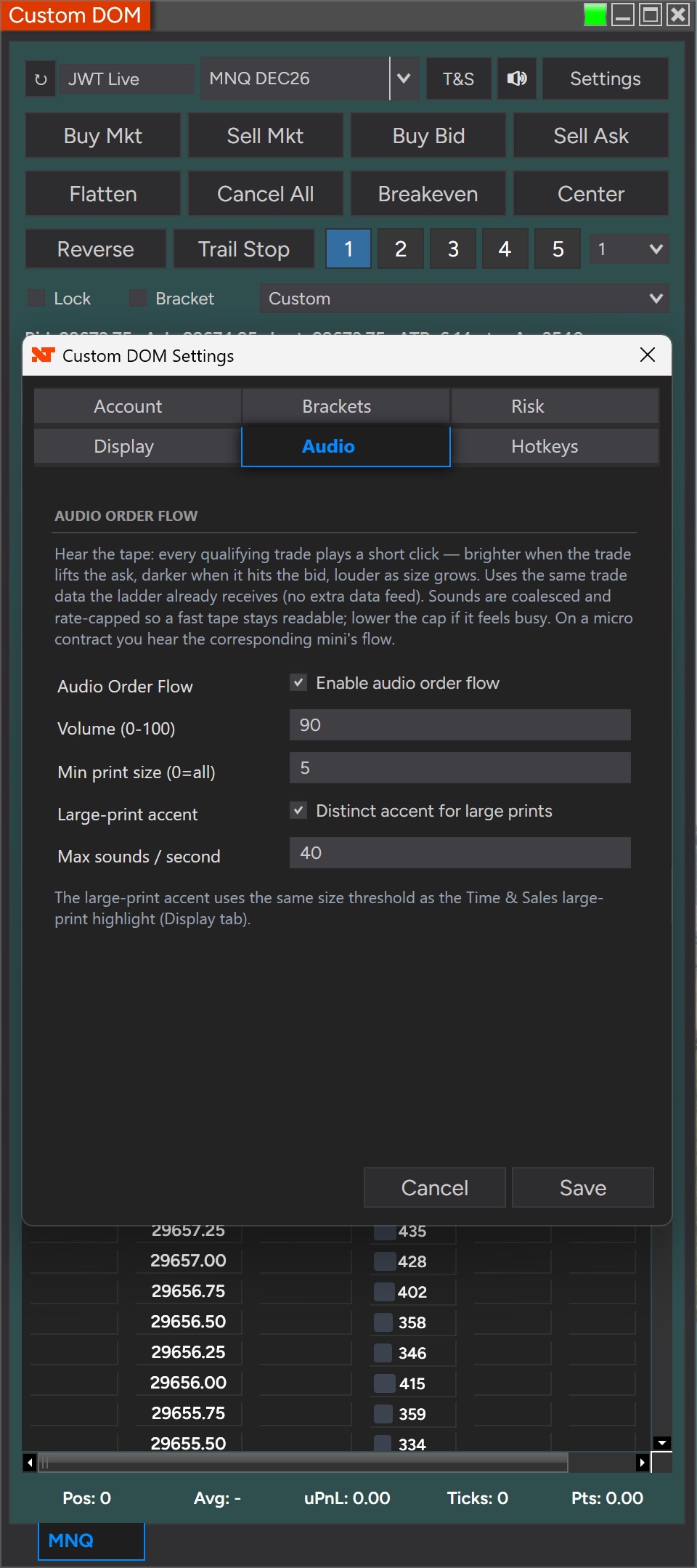 Audio settings tab with enable, volume, minimum print size, large-print accent and a sounds-per-second cap
