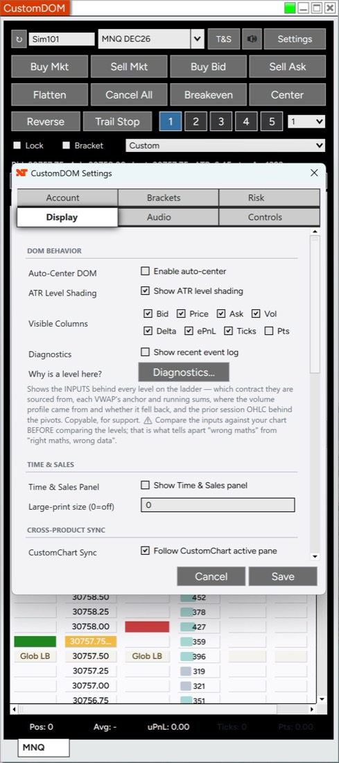 CustomDOM Settings on the Display tab, showing the "Why is a level here?" row with a Diagnostics button and its description of the inputs it reports